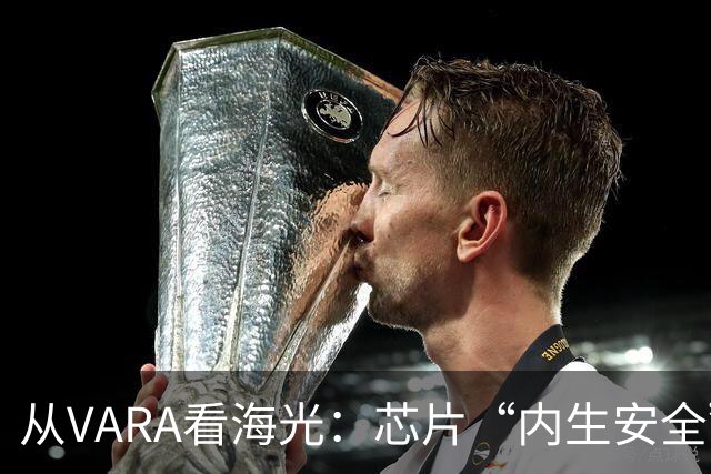 从VARA看海光：芯片“内生安全”的落地逻辑